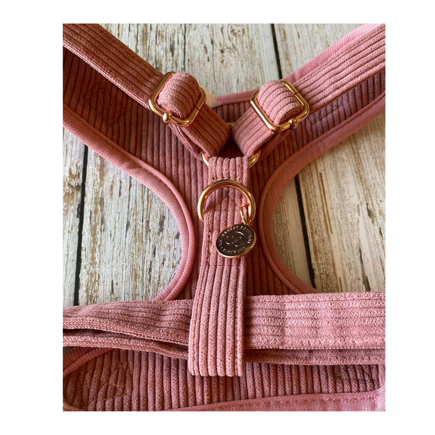 close up minimalistic corduroy doggie harness with rose gold accents.