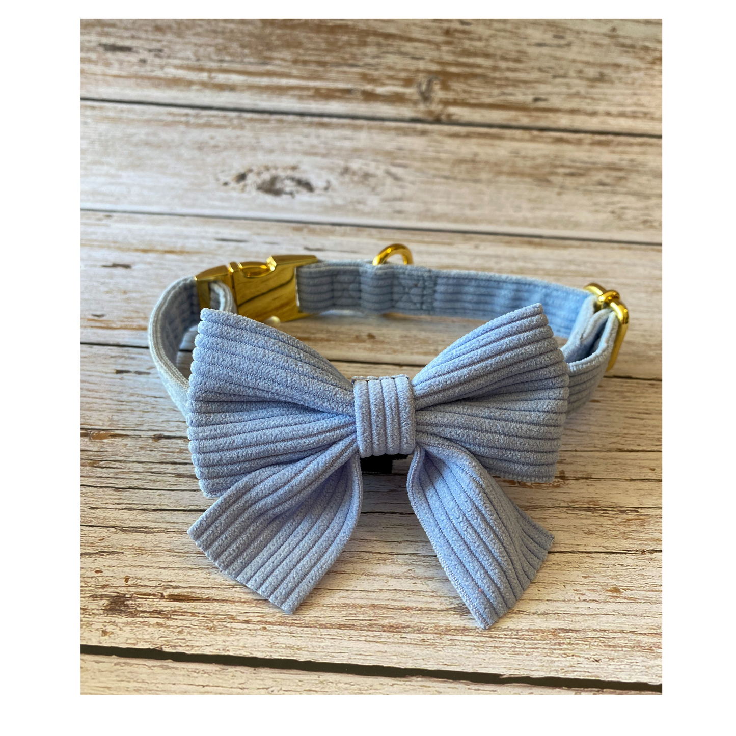 minimalist dog collar and matching doggy bowtie for the cutest dog