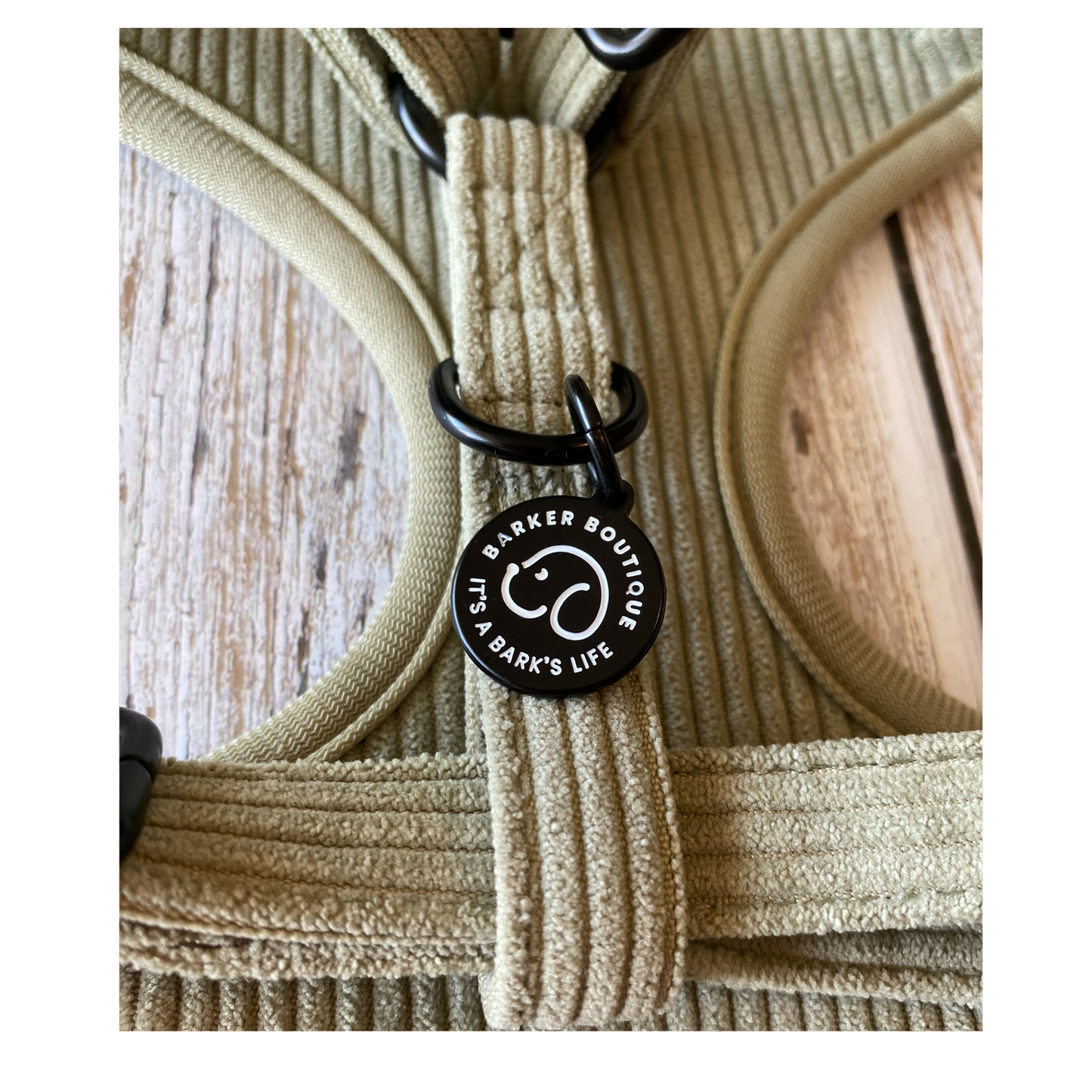 close up of minimalistic corduroy dog harness with matte black accents
