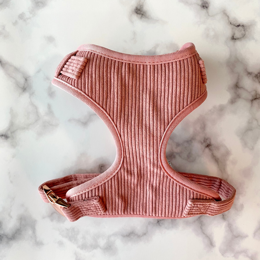 minimalistic corduroy doggie harness with rose gold accents.
