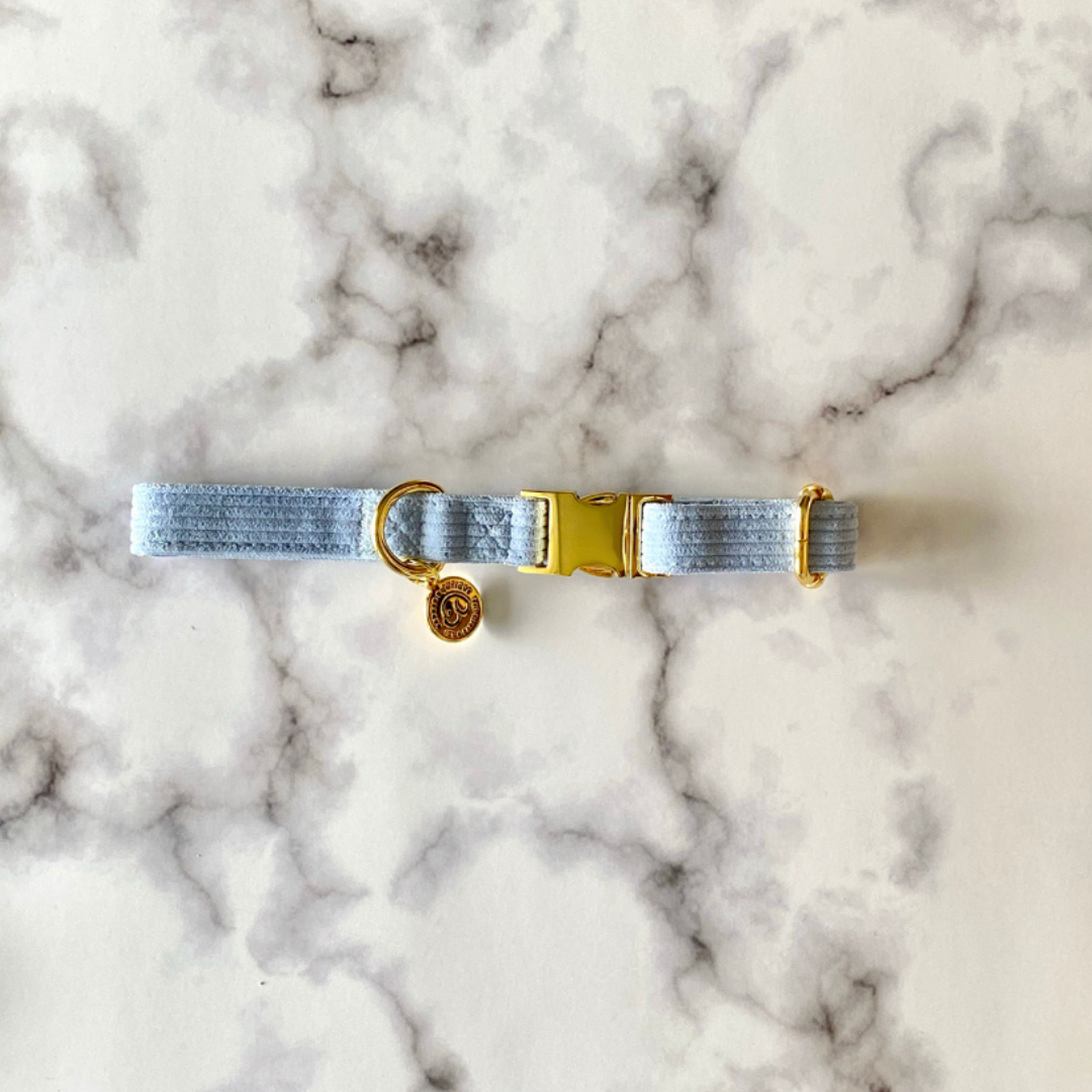 minimalist dog collar for the cutest puppy