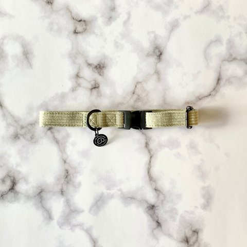 minimalist sage dog collar with matte black details for the stylish cute puppy