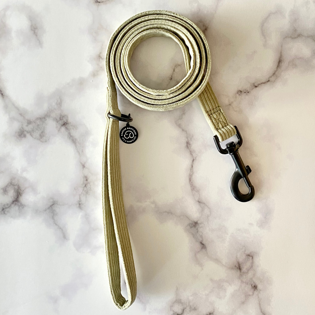 minimalistic cute corduroy walking dog collar leash in sage green with matte black accents