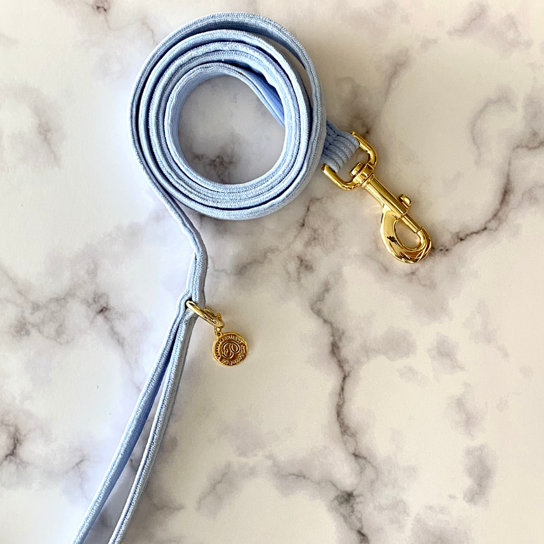 minimalistic cute corduroy walking dog leash in pawder blue with gold accents