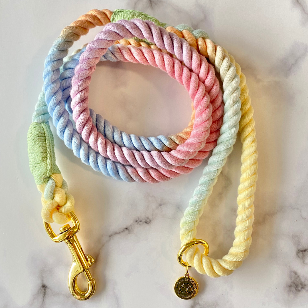 Rope Leash - Rainbow Land - Barker Boutique