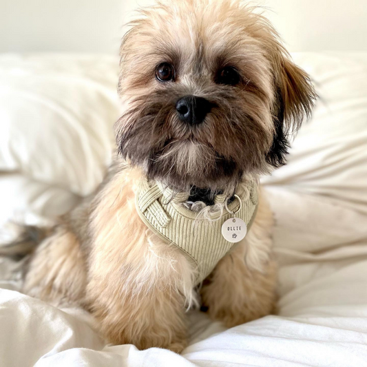 Corduroy Dog Harness Barker Boutique