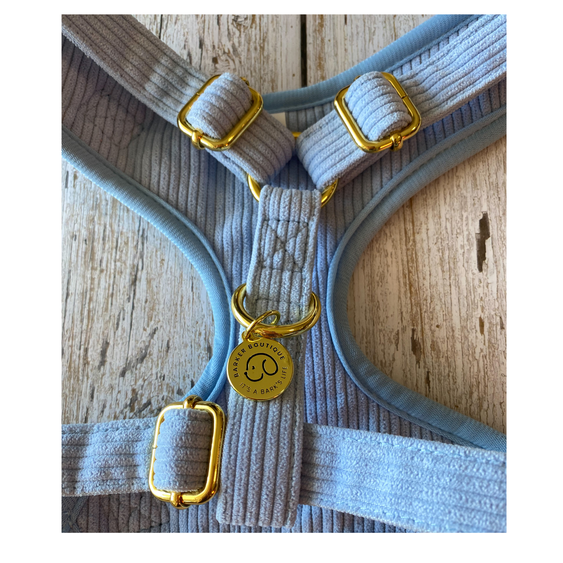 minimalistic corduroy cute doggy harness with gold accents. 