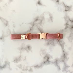 minimalist dog collar with rose gold quick release clasp