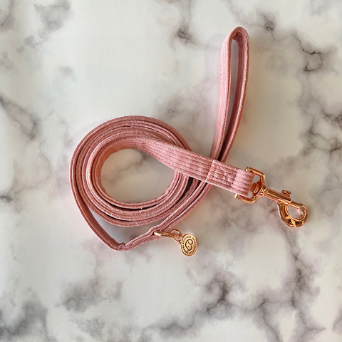 minimalistic cute corduroy walking dog leash in mauve with gold accents