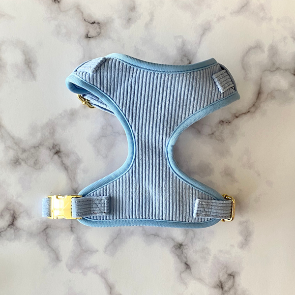 minimalistic corduroy doggie harness with gold accents. 