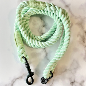 Rope Leash - Mint Green - Barker Boutique