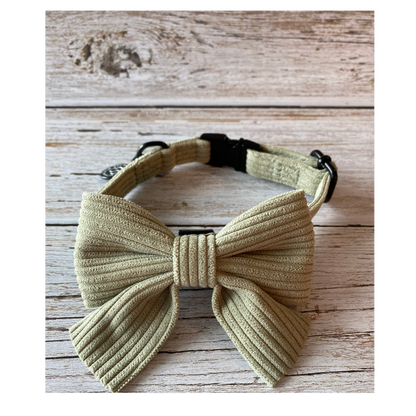 minimalist dog collar and matching corduroy bowtie for the cutest dog